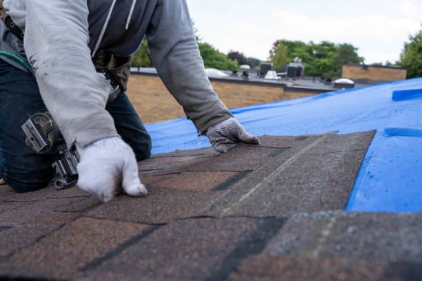Best Storm Damage Roof Repair  in El Campo, TX